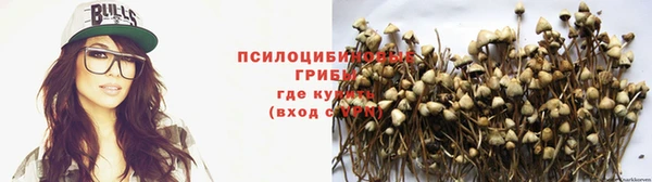 дживик Арсеньев