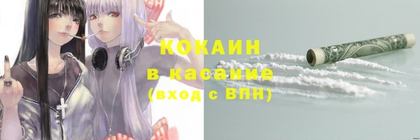 дживик Арсеньев