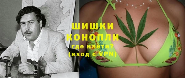 дживик Арсеньев