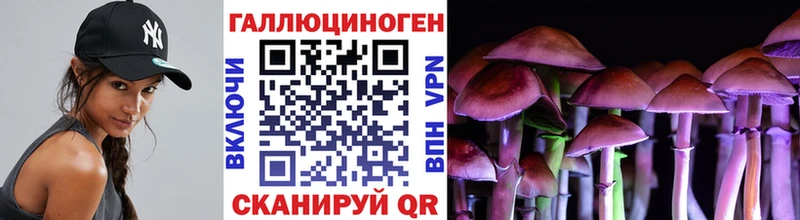 цены наркотик  Радужный  Галлюциногенные грибы Cubensis 
